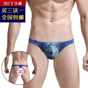 Thanh niên nam thong thời trang sexy thấp eo T quần cá tính 3D in ấn bị rò rỉ PP sexy thong đồ lót nam