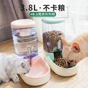 Pet mèo nước quả tự động trung chuyển thức ăn cho mèo thức ăn cho chó bát nước uống nước