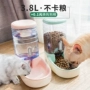 Pet mèo nước quả tự động trung chuyển thức ăn cho mèo thức ăn cho chó bát nước uống nước bình uống nước cho chó