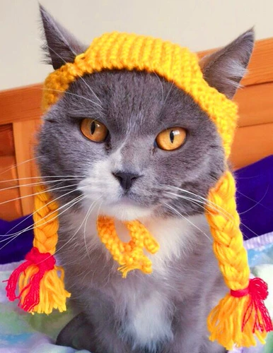 Парик с косичкой, шлем, вязаная шапка