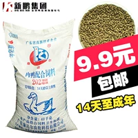 Cumid Fatty Duck Feed Fatty Duck Meat Dut