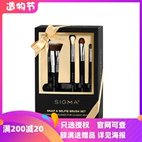 Официальный веб -сайт разрешает PIRU подлинный американский Sigma Long Rod Make Brush Set Set STHIE A Sethie