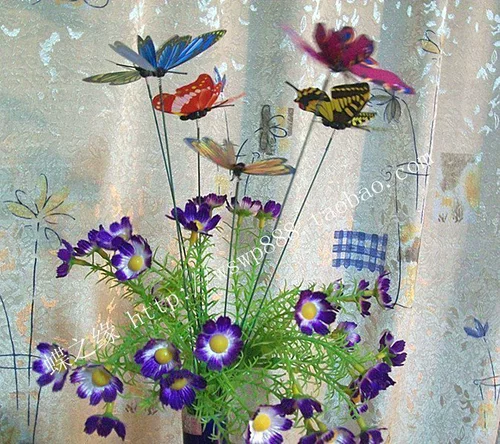 铡樼 77 忓   忓 忓 Buddha 镓 ︽ 彃铦 铦 澏 鎻掓 潌 铦 濉戞 枡浠 枡浠 铦 铦 澏 澏 澏 澏 澏