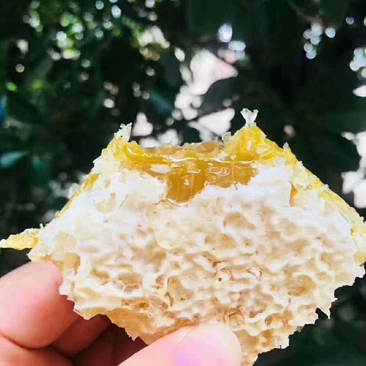 Zhejiang Jiangshan Farm New Gest Money Box 500G купить одну бесплатную стоимость подарочного пакета -Для -Money Promotion