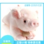 Heo mô phỏng dễ thương Hàn Quốc đích thực đồ chơi sang trọng màu hồng búp bê búp bê Song Yu với chú lợn may mắn - Đồ chơi mềm ô tô đồ chơi trẻ em