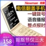 Newman F518 Telecom cũ điện thoại điện thoại vỏ sò nhân vật ồn ào già máy cũ Tianyi CDMA kép - Điện thoại di động oppo a93 giá bao nhiều