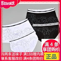 Caber carbey cặp đồ lót sáng tạo màu rắn modal cotton nam boxer nữ tam giác UM145 UL245 đồ lót ibasic