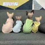 Летом кошачья одежда для кошачьей кошки, не пропустите первое первое выпускное недостаток!Конфеты -Королевая подвеска