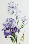 Cầu vồng thêu Quảng trường chính hãng DMC cross stitch từ Luca watercolor diều phụ kiện đuôi - Bộ dụng cụ thêu