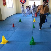 Thiết bị đào tạo Taekwondo chướng ngại vật trẻ em tấm logo nhà thiết bị đào tạo quần vợt đánh dấu logo thùng - Taekwondo / Võ thuật / Chiến đấu