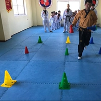 Thiết bị đào tạo Taekwondo chướng ngại vật trẻ em tấm logo nhà thiết bị đào tạo quần vợt đánh dấu logo thùng - Taekwondo / Võ thuật / Chiến đấu bao đấm bốc trẻ em