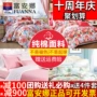 Genuine Anna giàu bông chăn đơn mảnh chăn ký túc xá 1,5m 1.8m mảnh giường bông vải quilt giải phóng mặt bằng đặc biệt - Quilt Covers 	chăn phao siêu ấm	