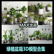 Cây xanh trồng trong chậu Vật liệu 3d trang trí cây trang trí sân vườn trang trí hoa bonsai trang sức mô hình 3DMAX - Trang trí nội thất