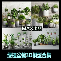 Cây xanh trồng trong chậu Vật liệu 3d trang trí cây trang trí sân vườn trang trí hoa bonsai trang sức mô hình 3DMAX - Trang trí nội thất trang trí phòng khách