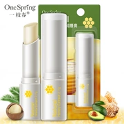 Một nhánh mật ong mùa xuân Lip balm tươi thực vật Lip care hydrating dưỡng ẩm làm mờ dần mặt nạ môi