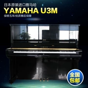 Nhật Bản ban đầu piano cũ hương vị chín mươi chín mới Yamaha U3M cung cấp đặc biệt hiệu quả chi phí - dương cầm