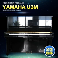 Nhật Bản ban đầu piano cũ hương vị chín mươi chín mới Yamaha U3M cung cấp đặc biệt hiệu quả chi phí - dương cầm grande piano