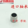 Yamaha Fuxi Qiaoge JOG Fuyi RSZ Li Ying Tấn Ying động cơ ban đầu răng kim lăn cầu mang chính hãng vòng bi iko