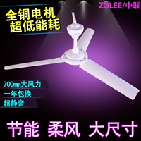 Бесплатная доставка Zhonglian Breeze Fan FE FE FD10-70 Breeze Маленькие вентиляторы сетки комаров, энергетический насыщен, медленное подключение к электрическому вентилятору Dafeng