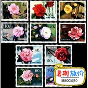 Bộ sưu tập tem tem đầu tư 79 năm T37 Camellia (bản gốc bằng nhựa hoàn toàn mới)