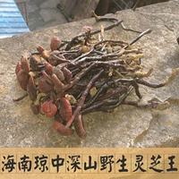 Hainan Qiongzhong Wuzhishan Pure Wild Special Wilder Red Bamboo Ganoderma lingzhi Pain Soutra Ganoderma lucidum 50g
