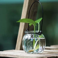Вертикальное висящее стекло прозрачное вазе тыква мини -ваза висящие бутылка зеленые растения Гидропонные цветочные композиции