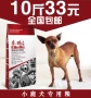 Thức ăn cho chó hươu con chó thực phẩm đặc biệt 5kg10 kg con chó con chó trưởng thành thức ăn cho chó vật nuôi tự nhiên con chó lương thực thực phẩm thức ăn hạt cho chó poodle
