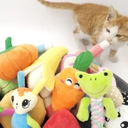 Chó vocal plush đồ chơi Teddy nhỏ chó và mèo vocal đồ chơi cắn kháng răng làm sạch pet nguồn cung cấp