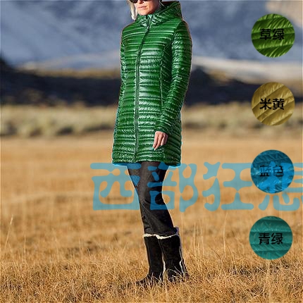 patagonia ultralight down jacket women's