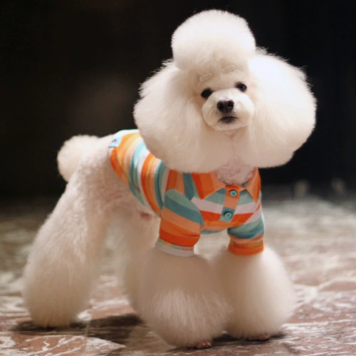 Nicovaer nim wil осенний домашний животный Polo Polo Top T -Fort Dog Одежда Teddy 146/5