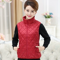 Áo vest nữ trung niên mùa xuân và mùa thu áo khoác mỏng cho phụ nữ trung niên vest vest 40-50 tuổi mẹ tải áo - Áo vest áo khoác nữ cao cấp