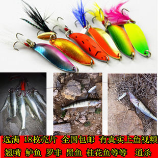 [Classic Luya bait sequins fake bait tillers and kill freshwater silver gold 10 grams 12 grams of fishing bait. Luo Non -bait]