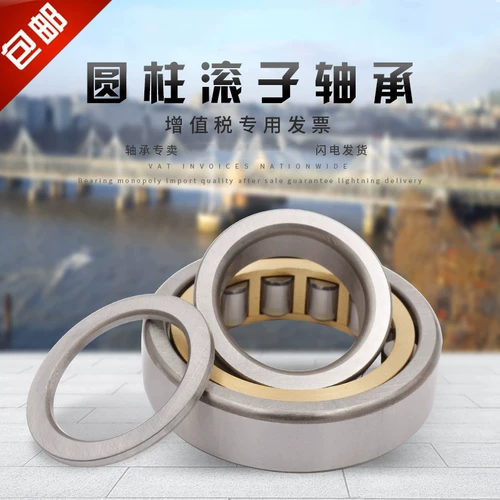 Цилиндрический ролик TMB Эксцентричный подшипник RN305 306 307 308 309 310 312 328M