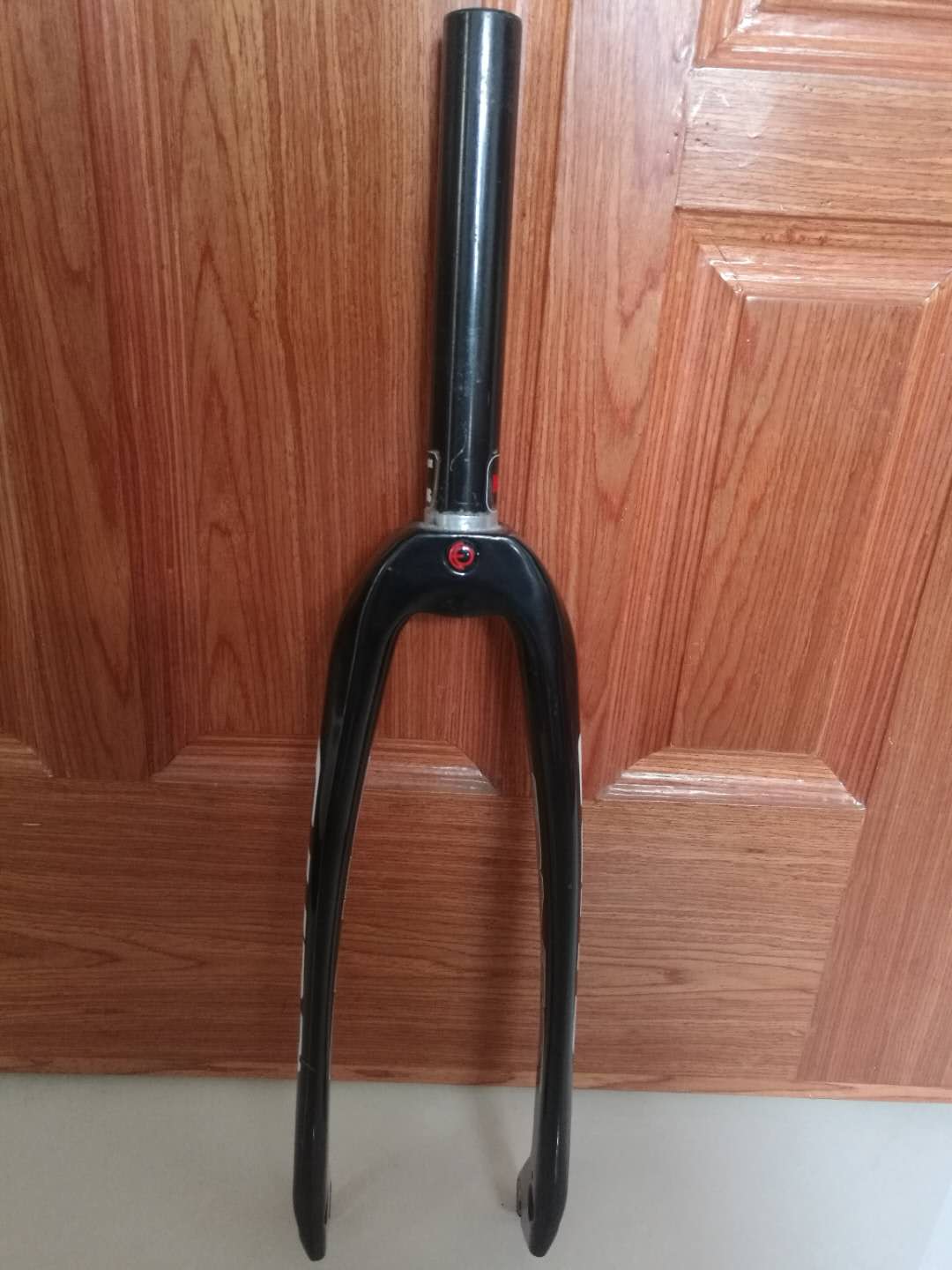 sinz carbon forks