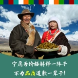 Снежные хризантемы могут быть сопоставлены с Zhuoma Ama Green Live Tea на высоте трех километров над уровнем моря