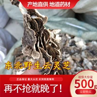 Серная -бесплатная новая товары Юньчхи китайская травяная медицина Хуан Юньчхи