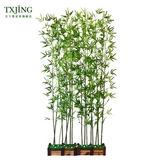 Моделирование тонкая вода бамбук тонкий бамбук декоративный перегород