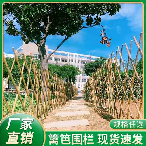 Забор бамбука, забор, открытый расширение бамбуковое листовое заборе двор овощные сад сад завод для лазания виноград