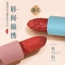 Net Red Hot Flower Valley Language Bộ trang điểm Huanyan Hộp quà cho người mới bắt đầu Mỹ phẩm kết hợp hoàn chỉnh Son môi làm đẹp - Bộ trang điểm