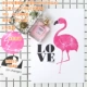 № 8 Pink Fire Bird Love 28x21 см.