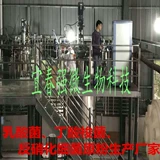 Сильная микромодификация нижнего грязного соединения грибной гранул-декоративность нижнего грязи органического вещества