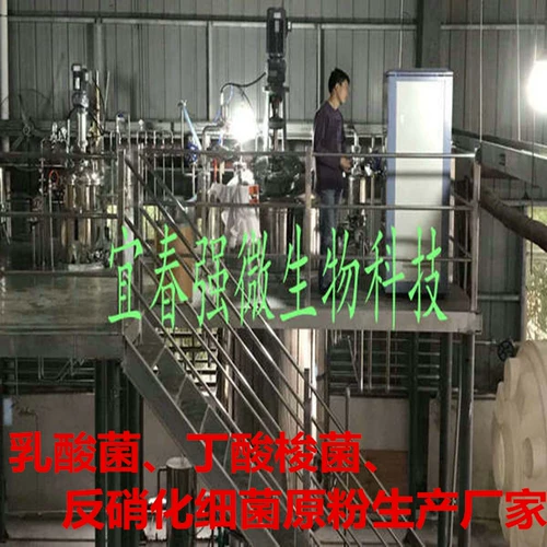 Сильная микромодификация нижнего грязного соединения грибной гранул-декоративность нижнего грязи органического вещества