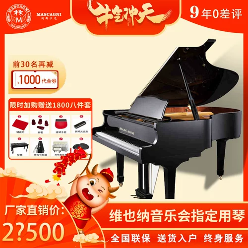 Гонконг маскани gp152 Треугольник Профессиональный фортепиано профессиональный тест