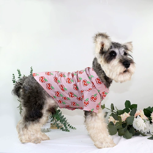 Apple, милая тонкая рубашка, дышащая модная летняя одежда