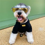 Тонкая хлопковая летняя одежда, милый рюкзак, футболка, популярно в интернете, с медвежатами