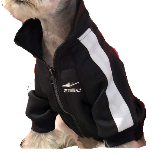 Осенний черный спортивный костюм, толстовка с молнией, куртка, популярно в интернете