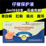 Жидкая голова с пигги -защитой, белая голова, жидкий зверь полопора тополя, используйте поросят, желто -белый цвет, чтобы остановить диарею и тянуть разбавленный энтерит