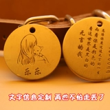 Индивидуальные фото собаки для предотвращения потери.