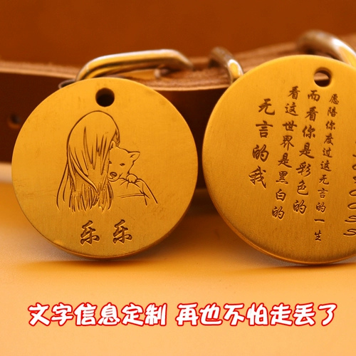 Индивидуальные фото собаки для предотвращения потери.