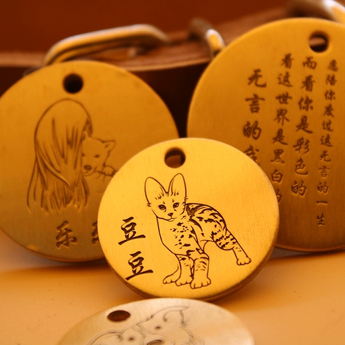 Индивидуальные фото собаки для предотвращения потери.